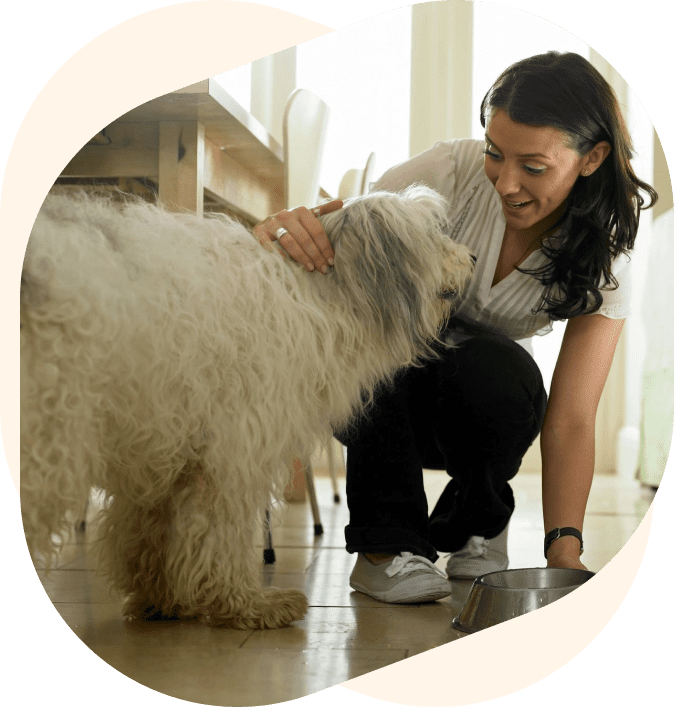 A woman petting a dog on the floor.